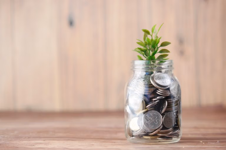 Measuring Sustainability and Profitability at Project Level