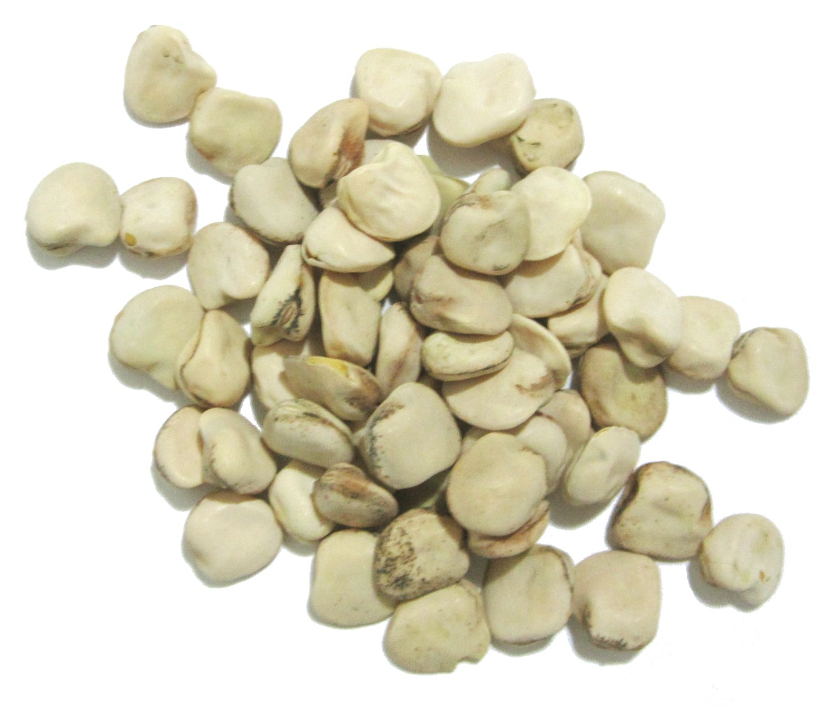 A small heap of pale cream, irregular, flattened pulse seeds on a white background.