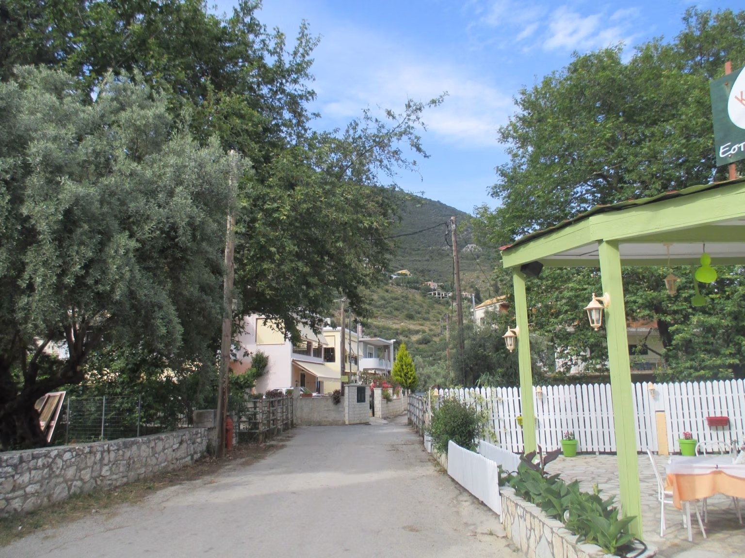 A narrow village lane in Rachi, Lefkada, lined with olive trees, a low stone wall and a green pergola over empty taverna tables, with a wooded hill behind.