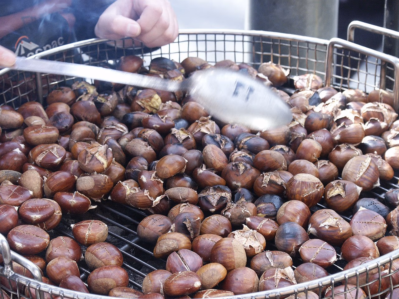 A hand stirs dozens of split, dark-brown roasted chestnuts in a metal mesh roaster.
